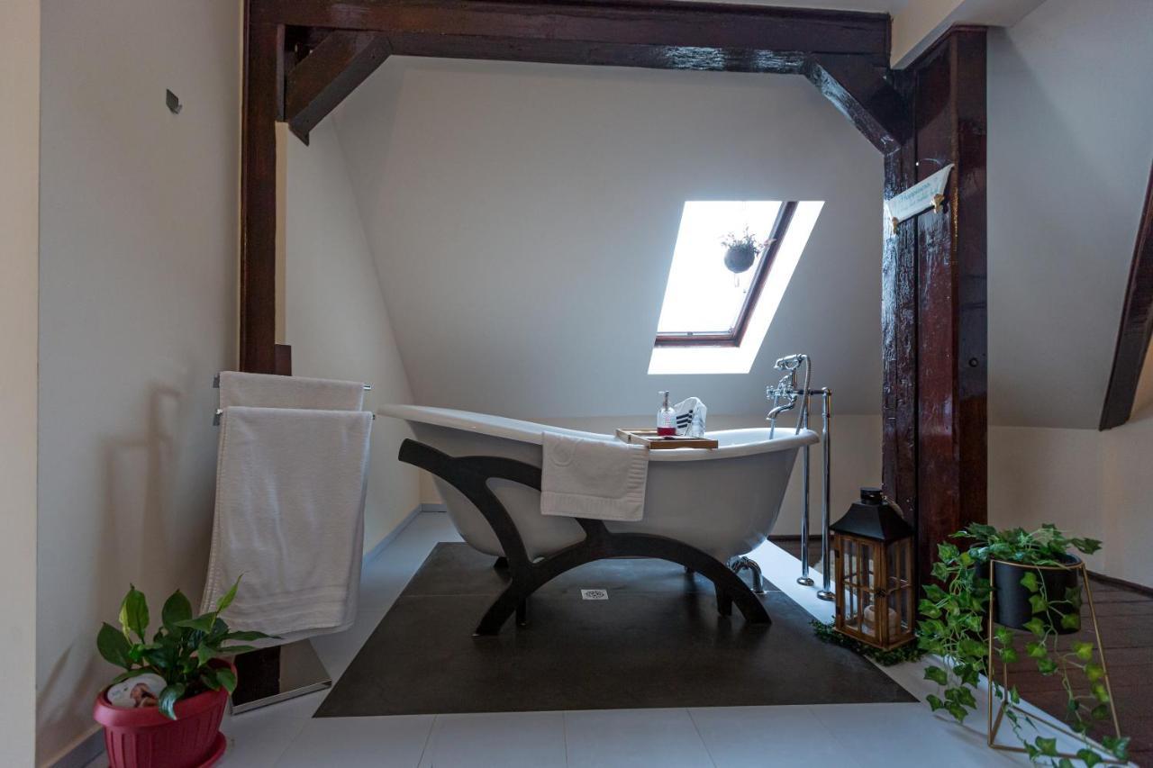 Casa Chintoan - Adult Only Bed & Breakfast คอนสตันซา ภายนอก รูปภาพ